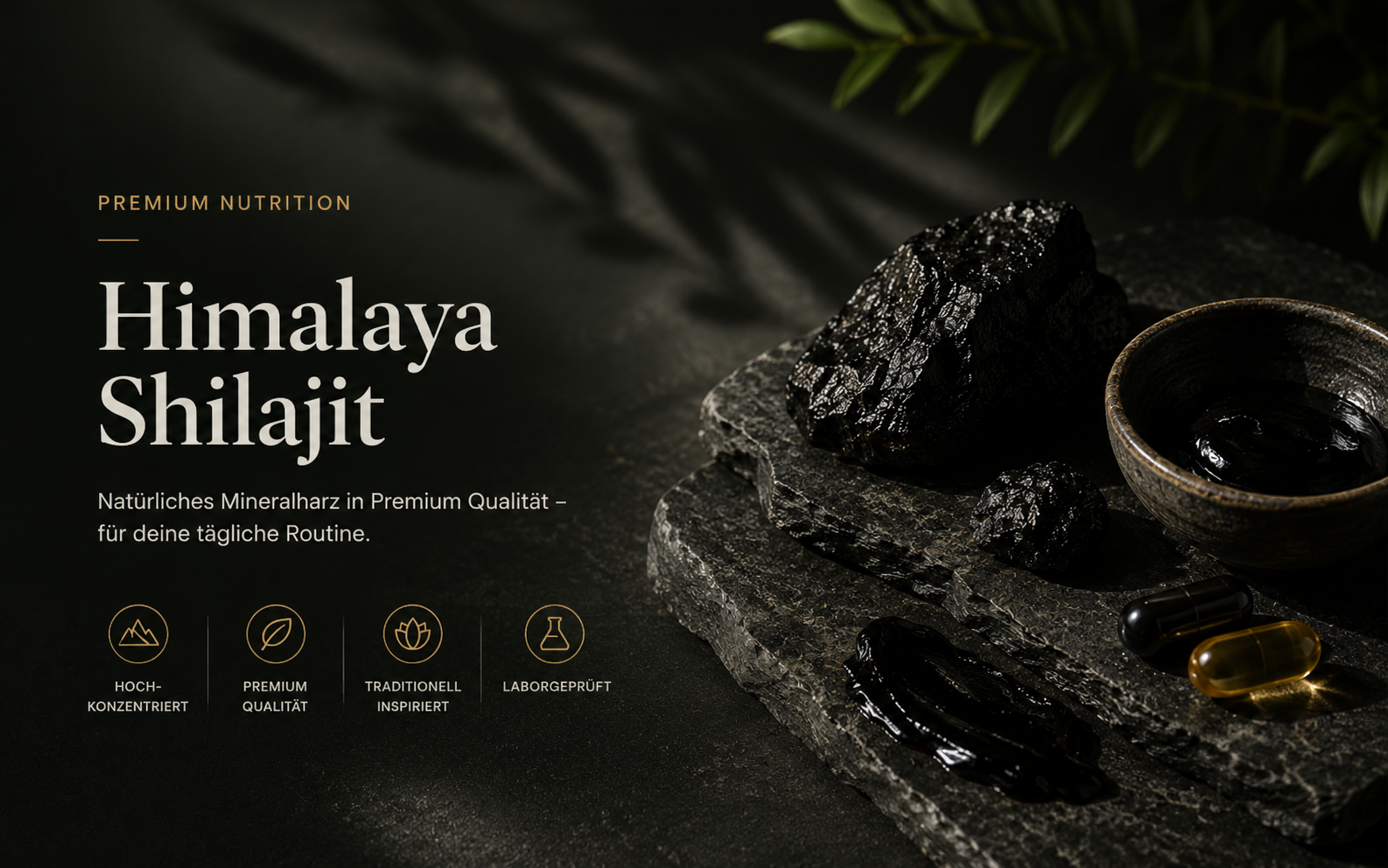 Himalayan Shilajit